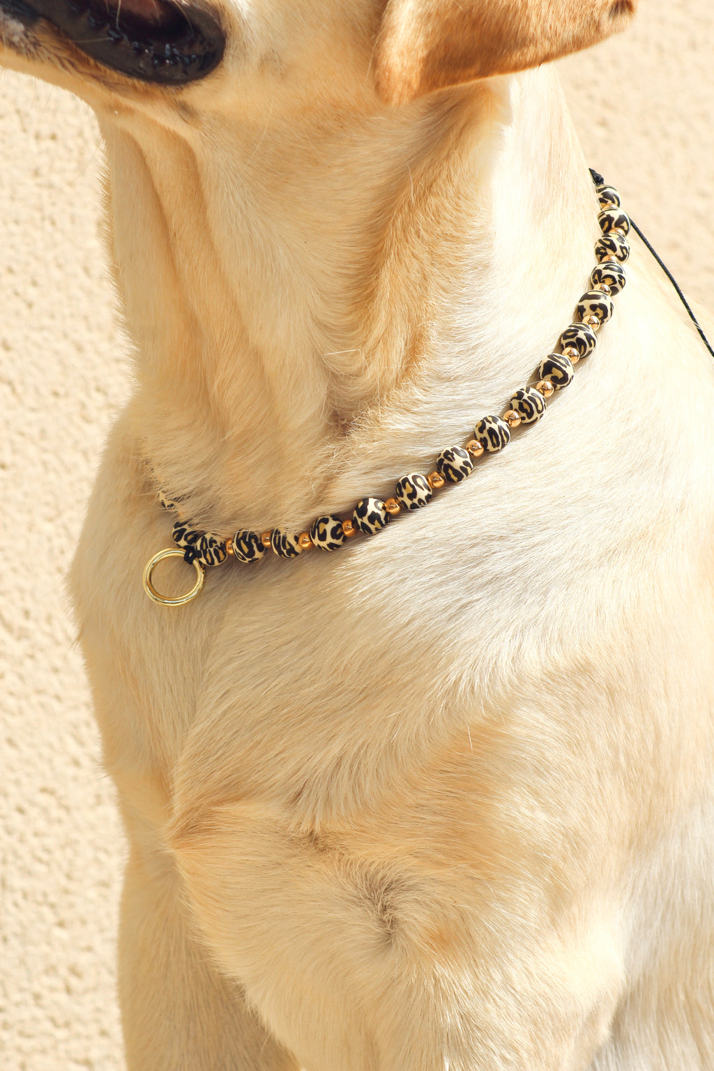 COLLIER PORTE MEDAILLE | WILD