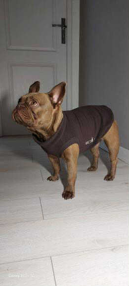 SWEAT GAMME BOULEDOGUE & CARLIN | POLAIRE MARRON
