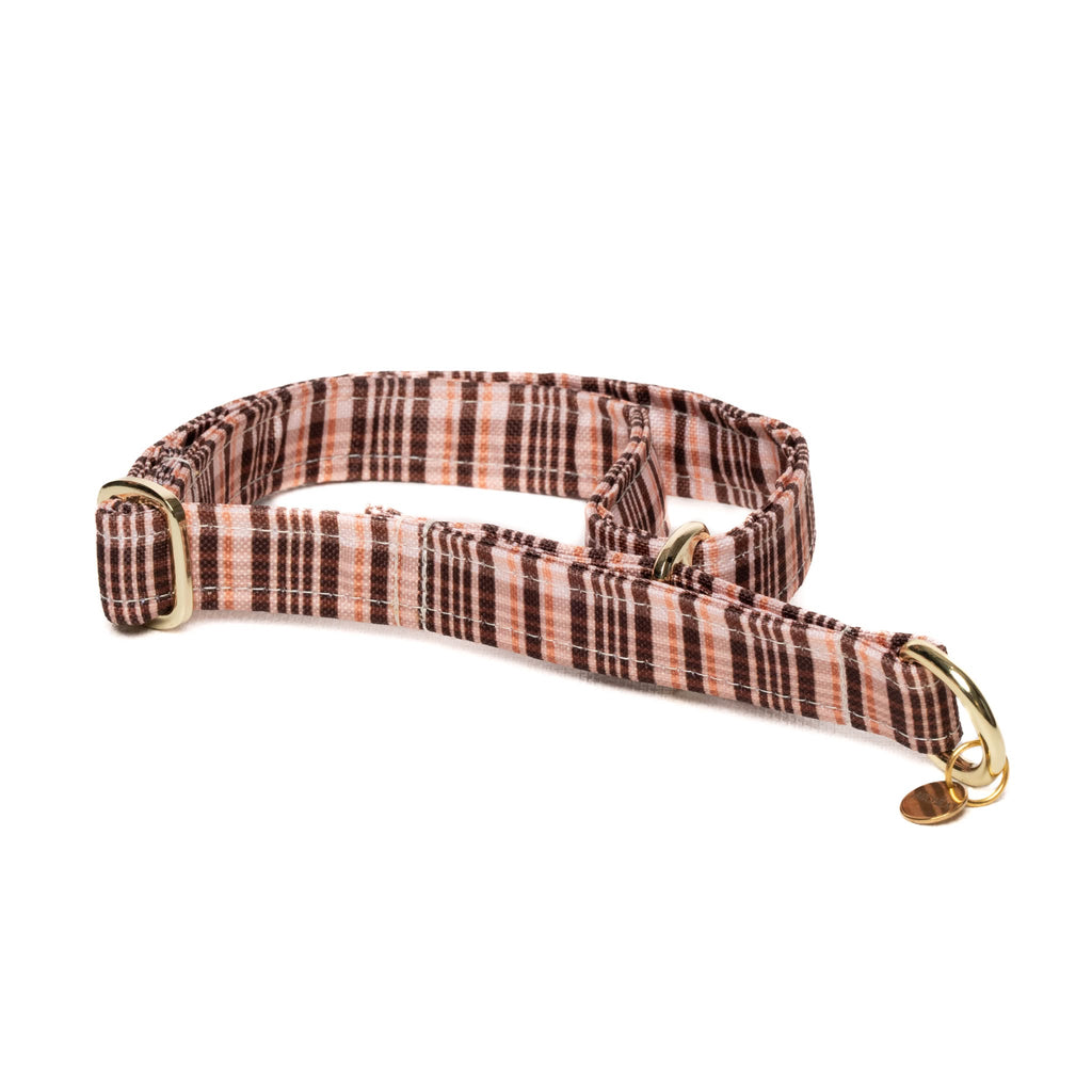 COLLIER MARTINGALE | TARTAN