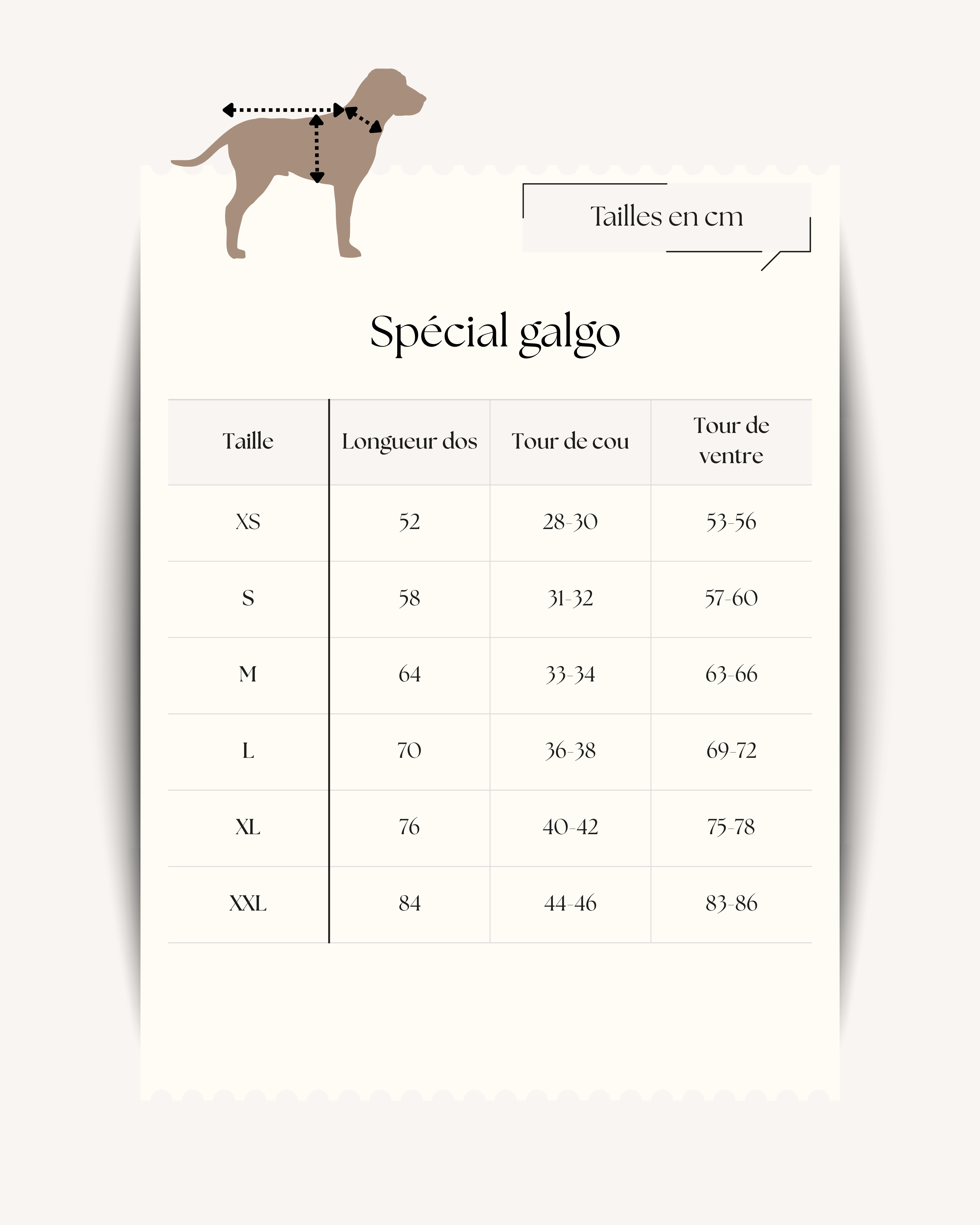 CRÉE TON SWEAT 🎊 - SPECIAL GALGO & LEVRIER