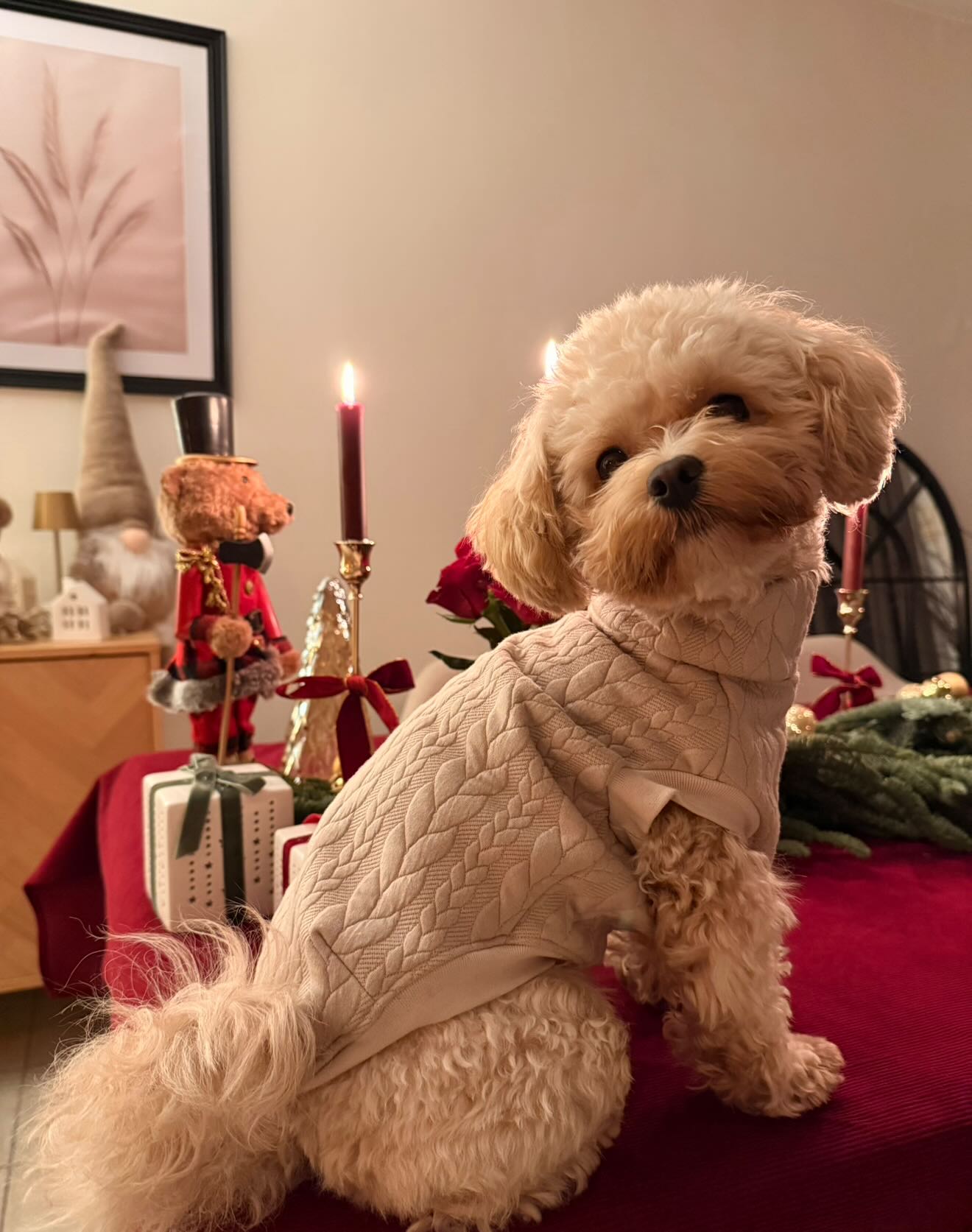 SWEAT | EFFET PULL BEIGE