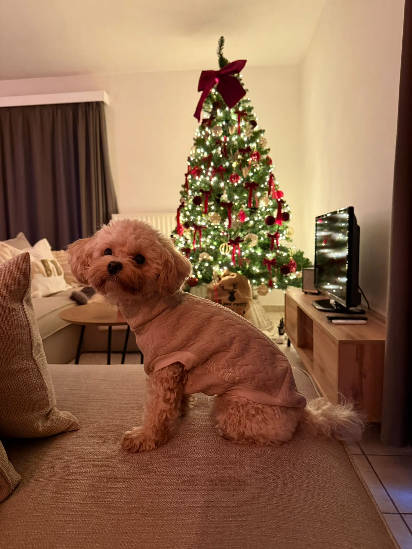 SWEAT | EFFET PULL BEIGE
