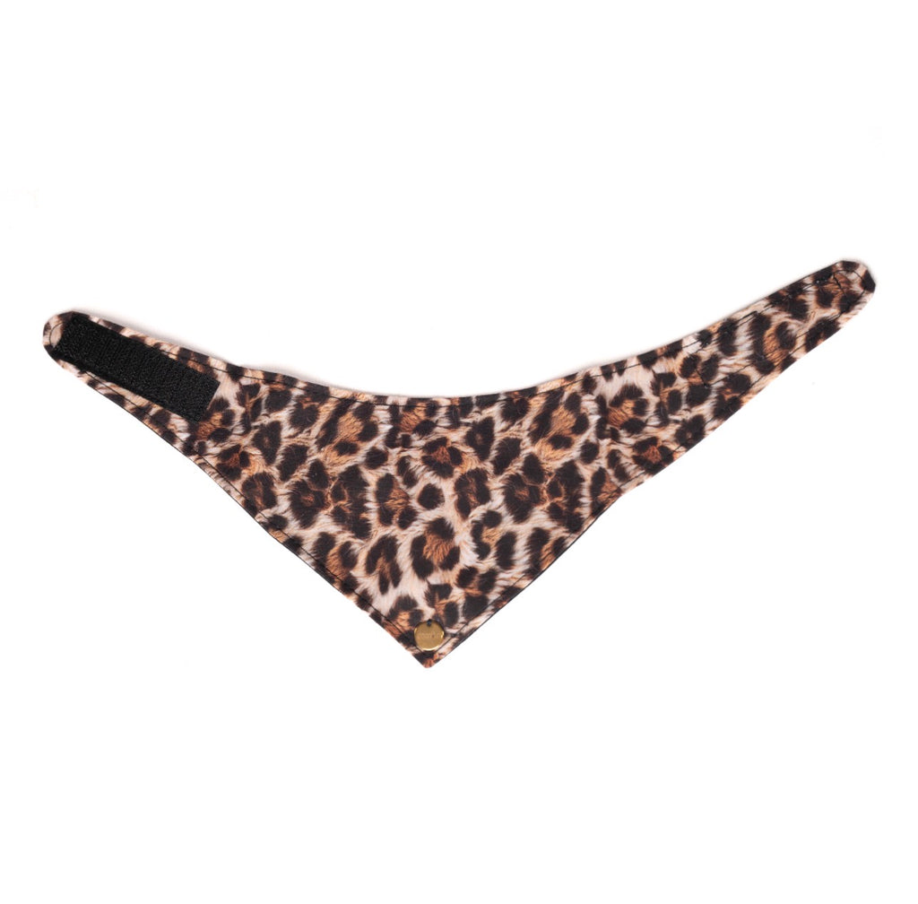 BANDANA A SCRATCH | WILD