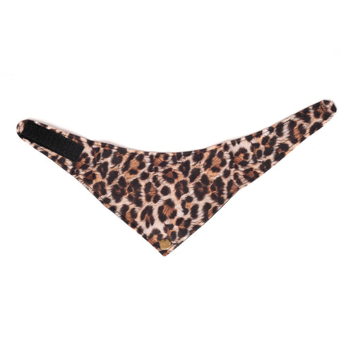 BANDANA A SCRATCH | WILD