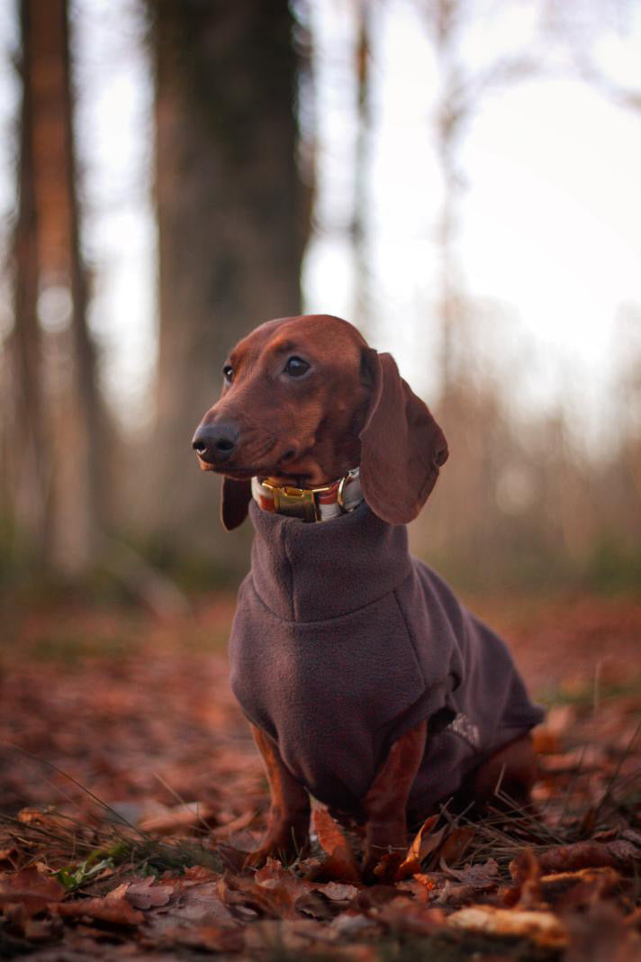SWEAT | POLAIRE MARRON