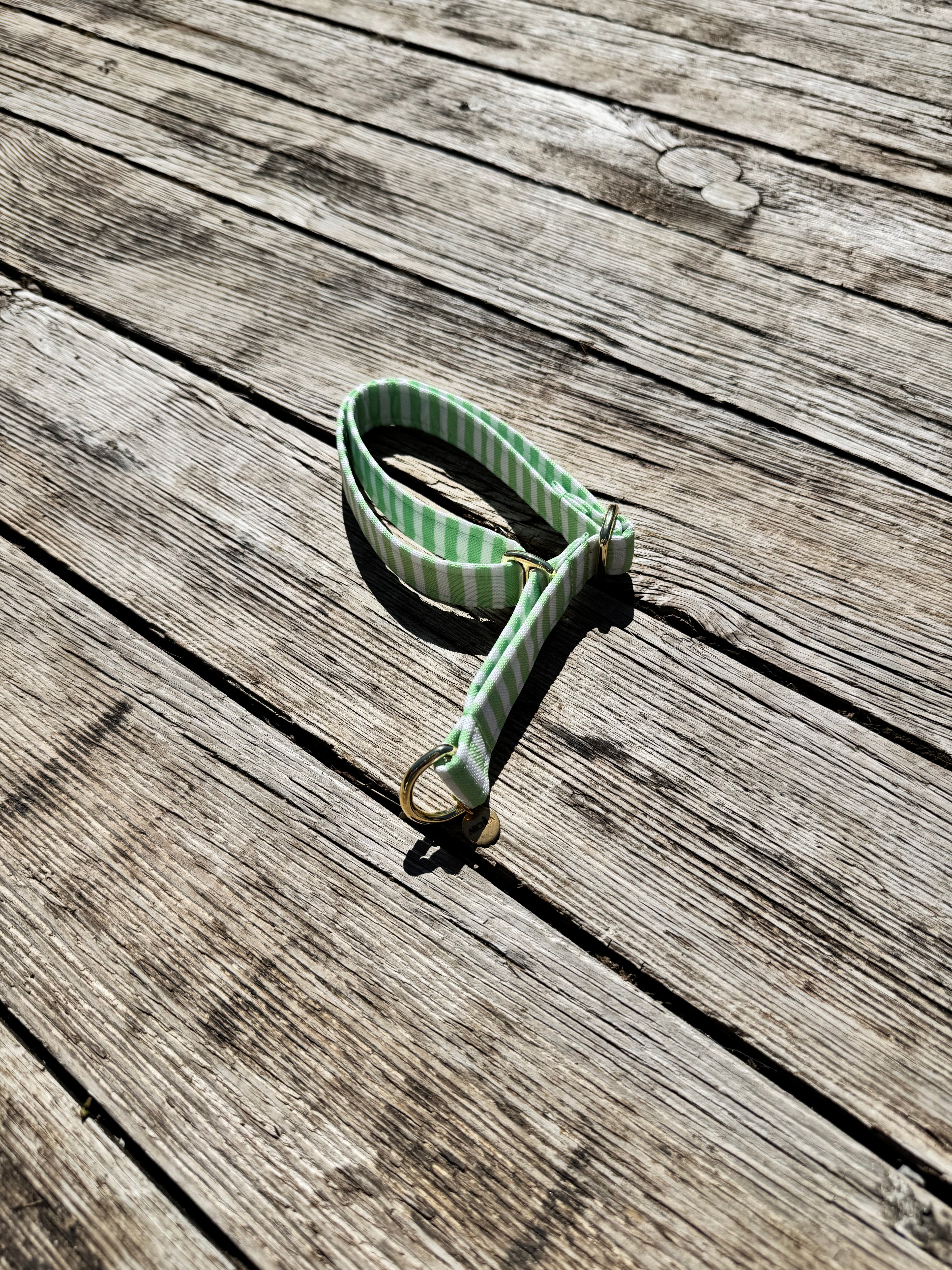 COLLIER MARTINGALE | HALO