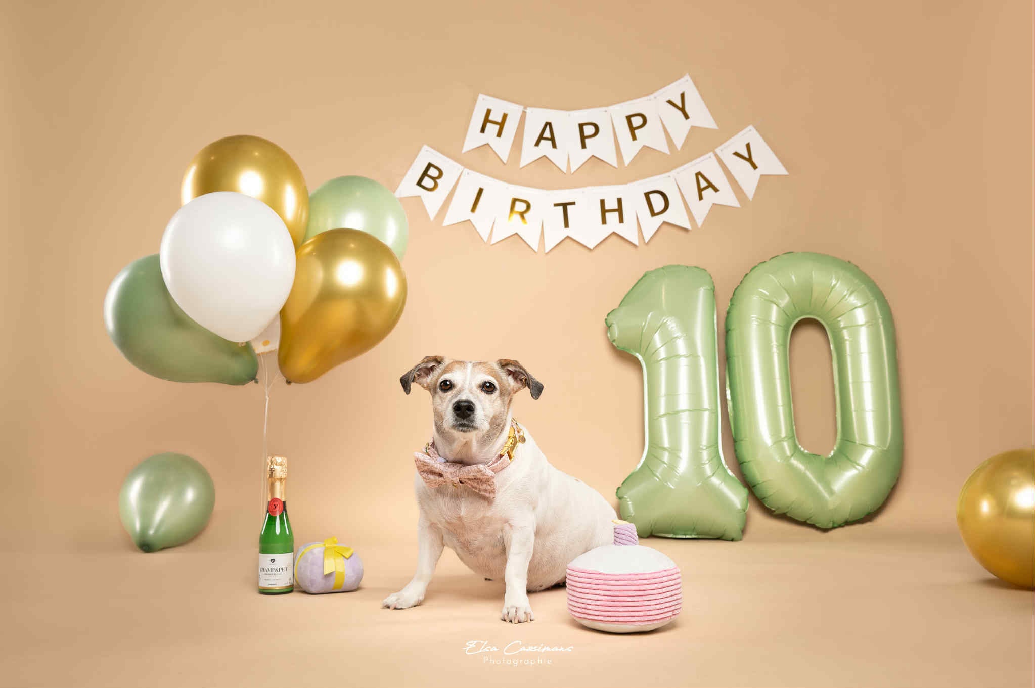 NOEUD | ANNIVERSAIRE