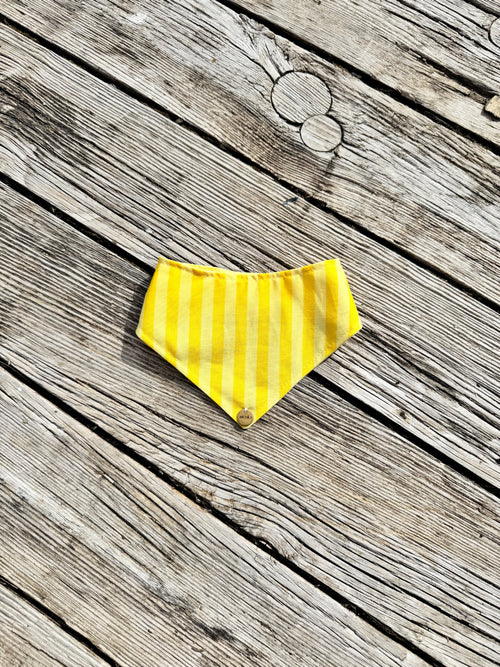 BANDANA A SCRATCH | SOLARIS