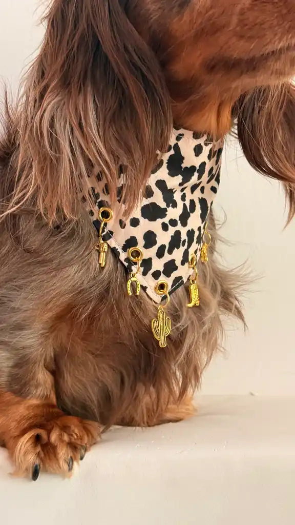 BANDANA A SCRATCH & CHARMS | IVORY