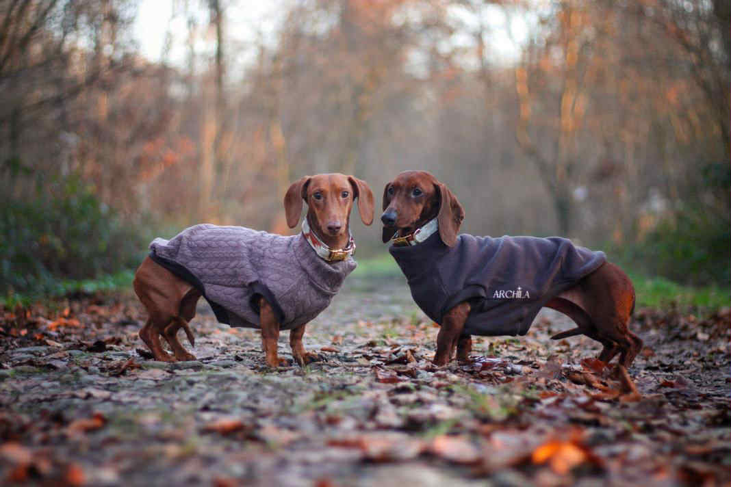 SWEAT | EFFET PULL MARRON