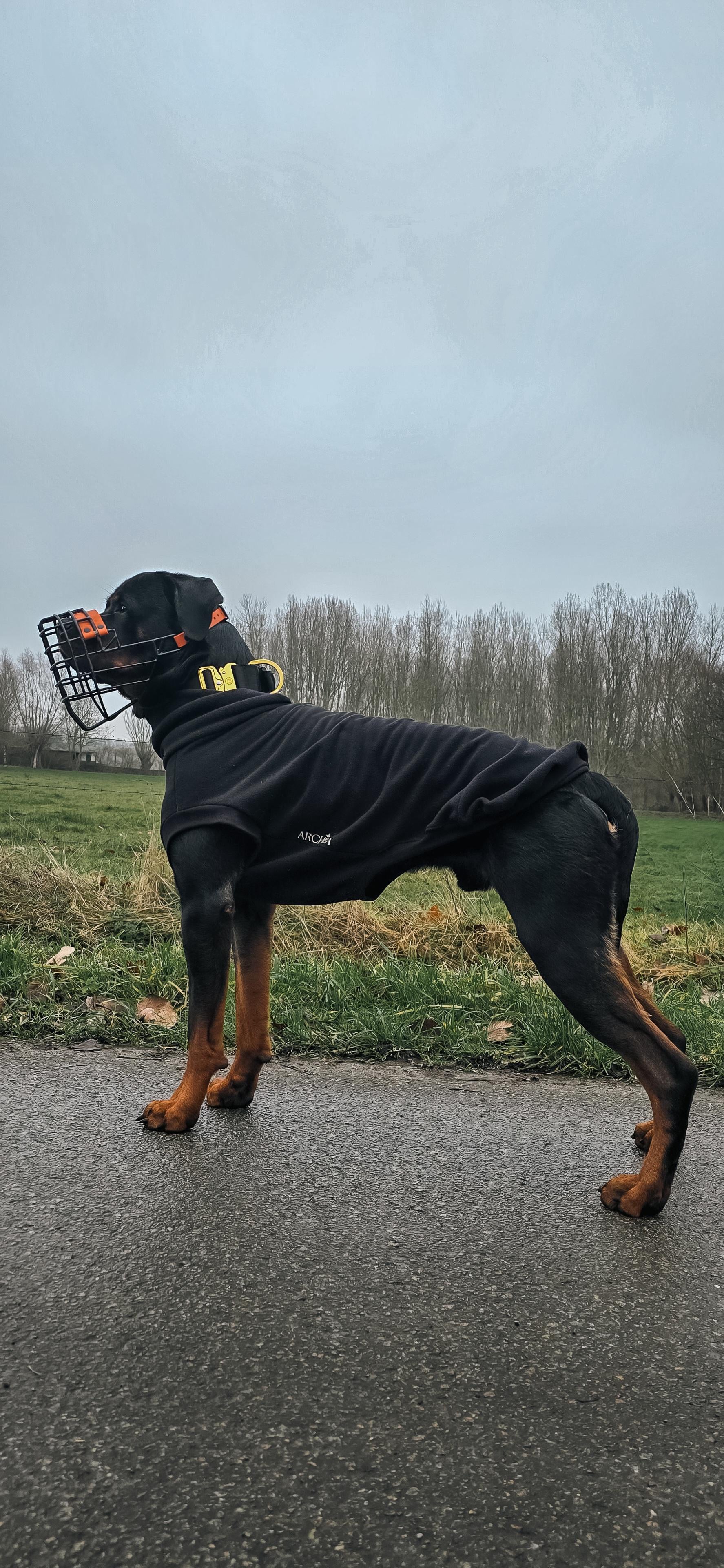 SWEAT GAMME BOULEDOGUE & CARLIN | POLAIRE NOIRE
