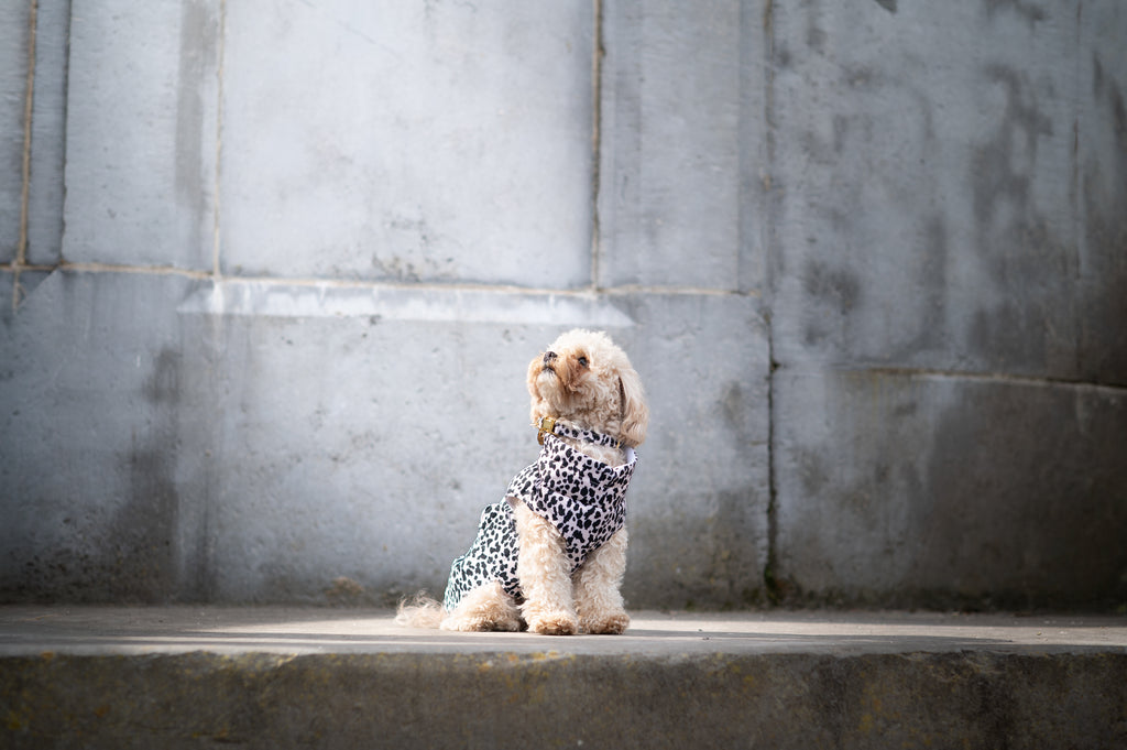 IMPERMÉABLE | IVORY