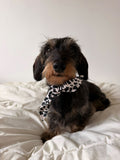 FOULARD | IVORY