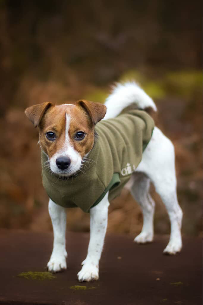 SWEAT | POLAIRE KAKI