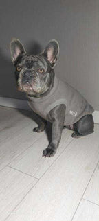 SWEAT GAMME BOULEDOGUE  & CARLIN | POLAIRE TAUPE