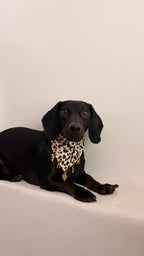 BANDANA A SCRATCH & CHARMS | IVORY