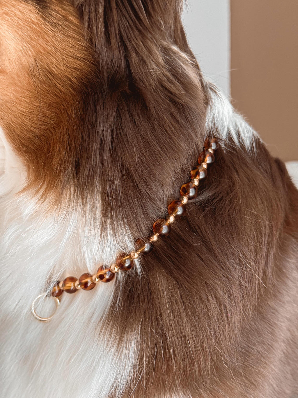 COLLIER PORTE MEDAILLE | ECAILLE DE TORTUE