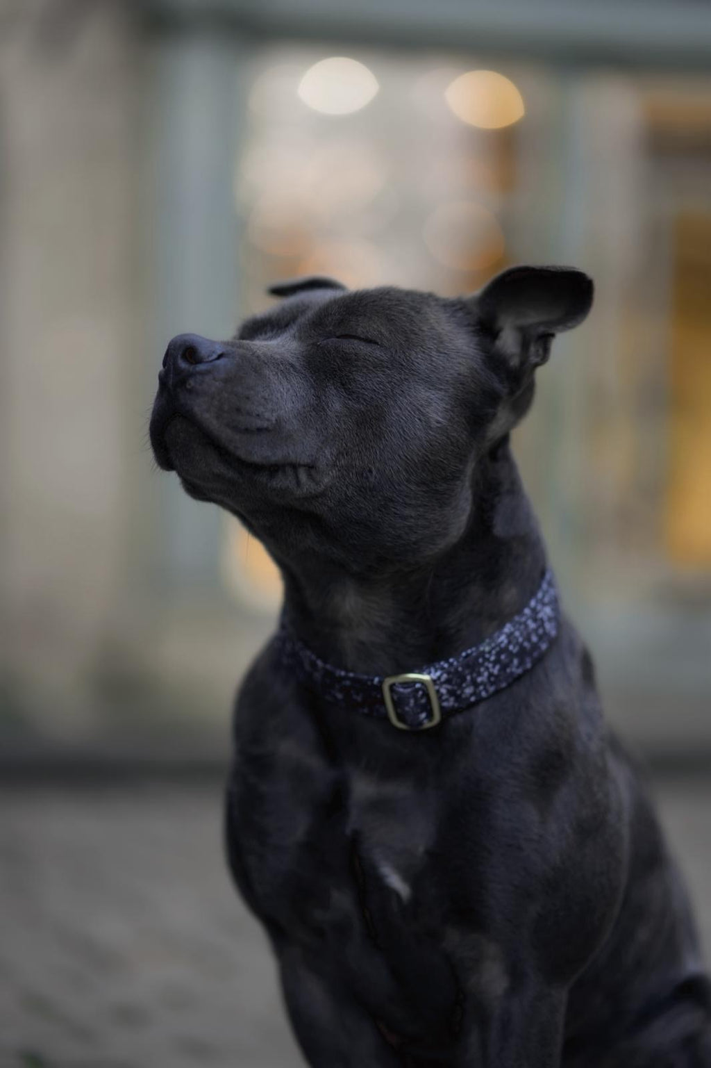 COLLIER | BLACK GLAM
