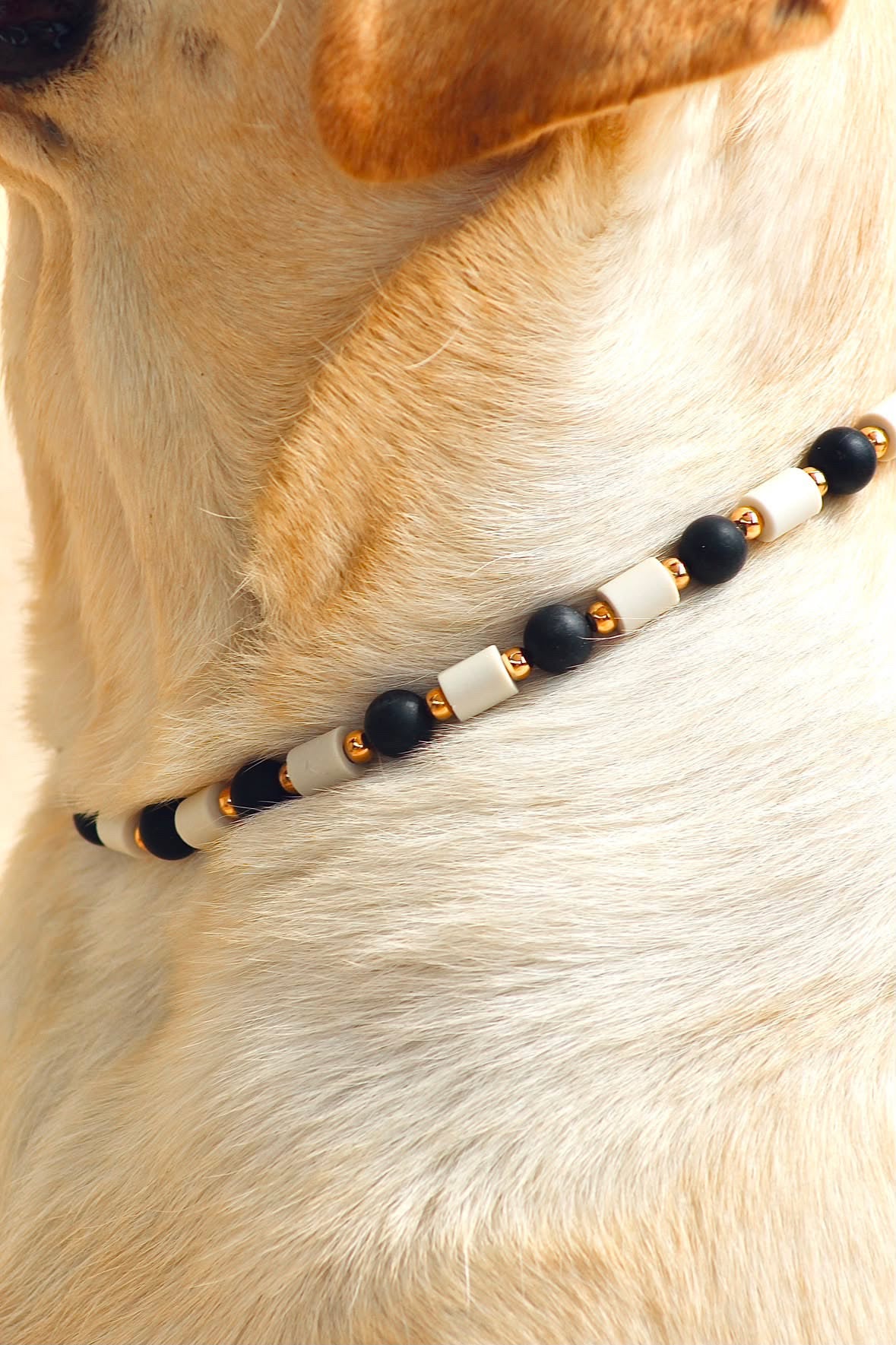 COLLIER ANTI PARASITAIRE | BLACK GLAM