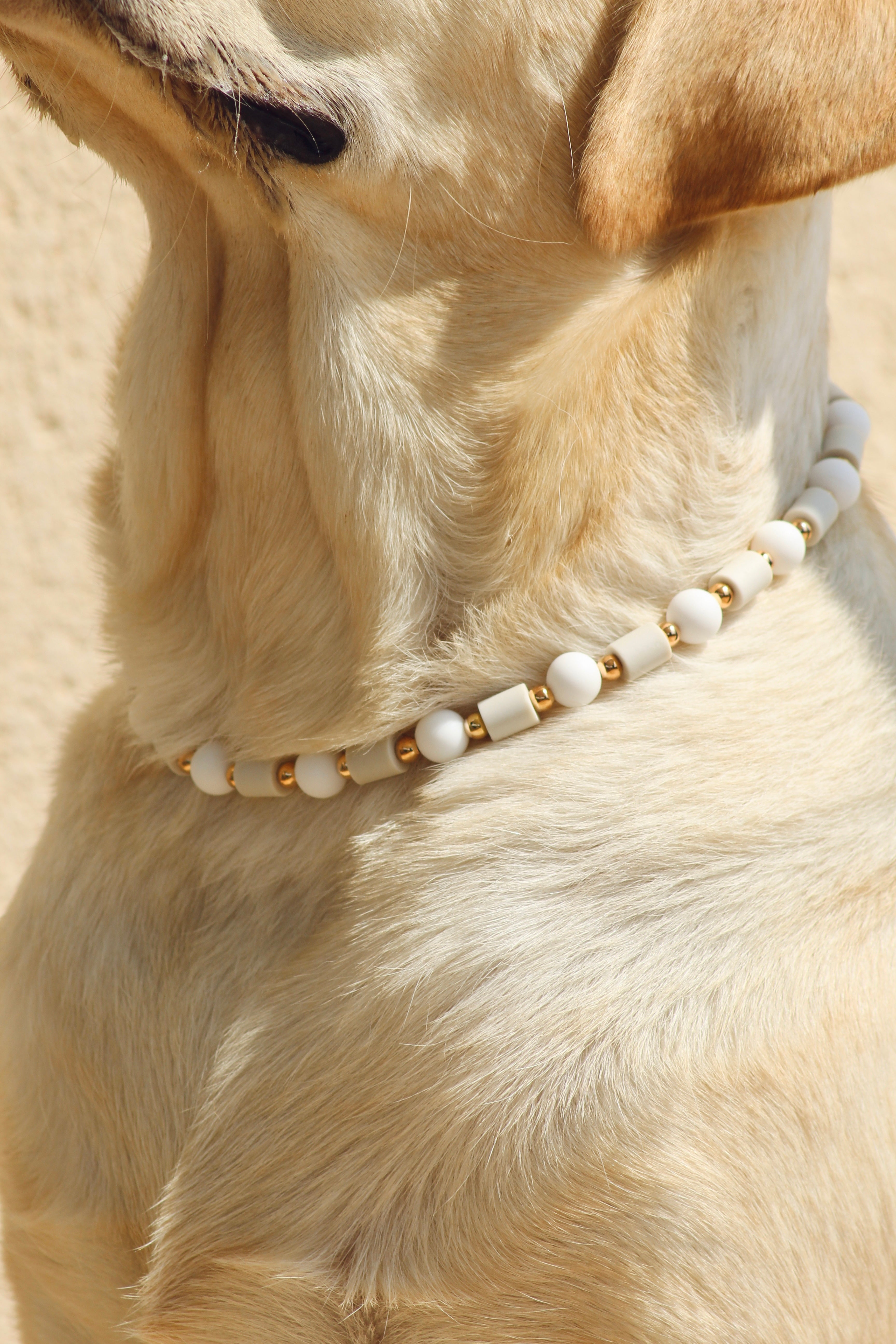 COLLIER ANTI PARASITAIRE | WHITE