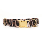 COLLIER | WILD