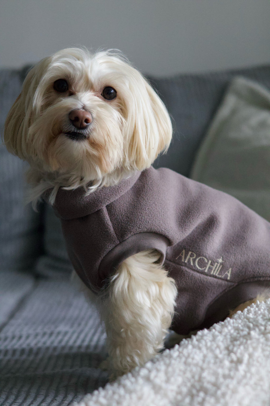 SWEAT | POLAIRE TAUPE