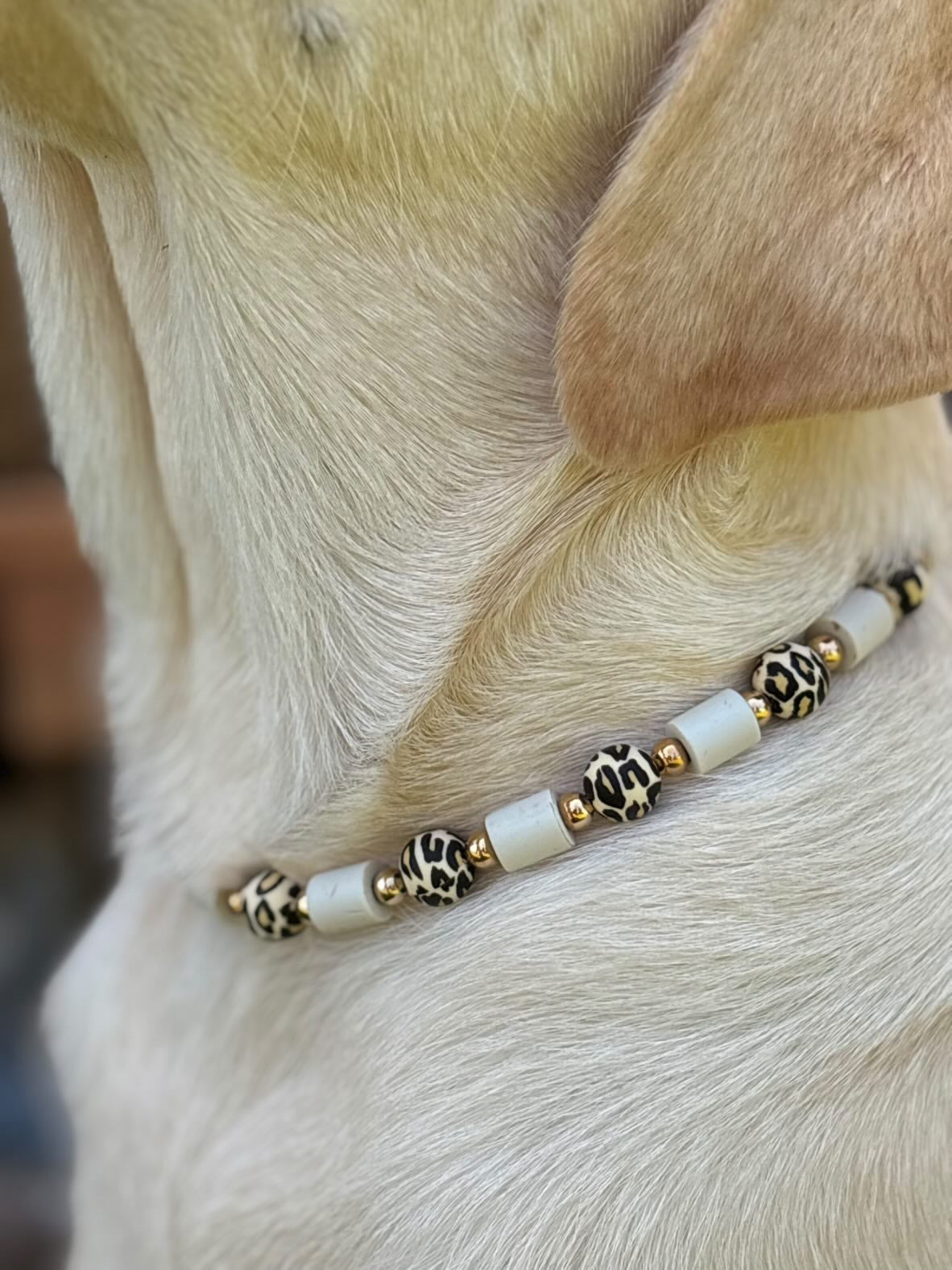 COLLIER ANTI PARASITAIRE | WILD