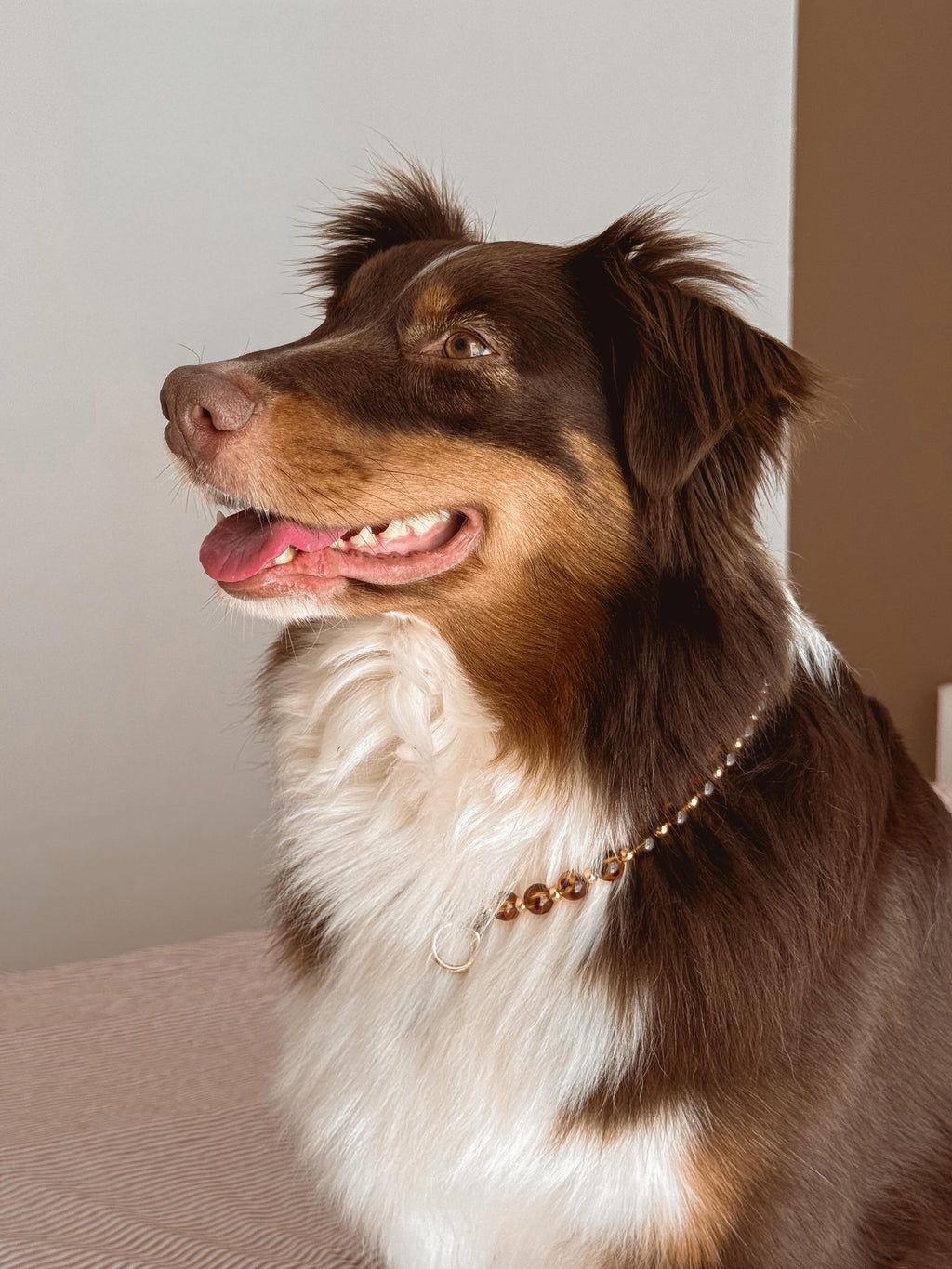 COLLIER PORTE MEDAILLE | ECAILLE DE TORTUE
