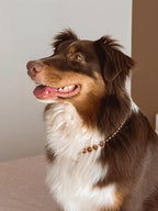 COLLIER PORTE MEDAILLE | ECAILLE DE TORTUE