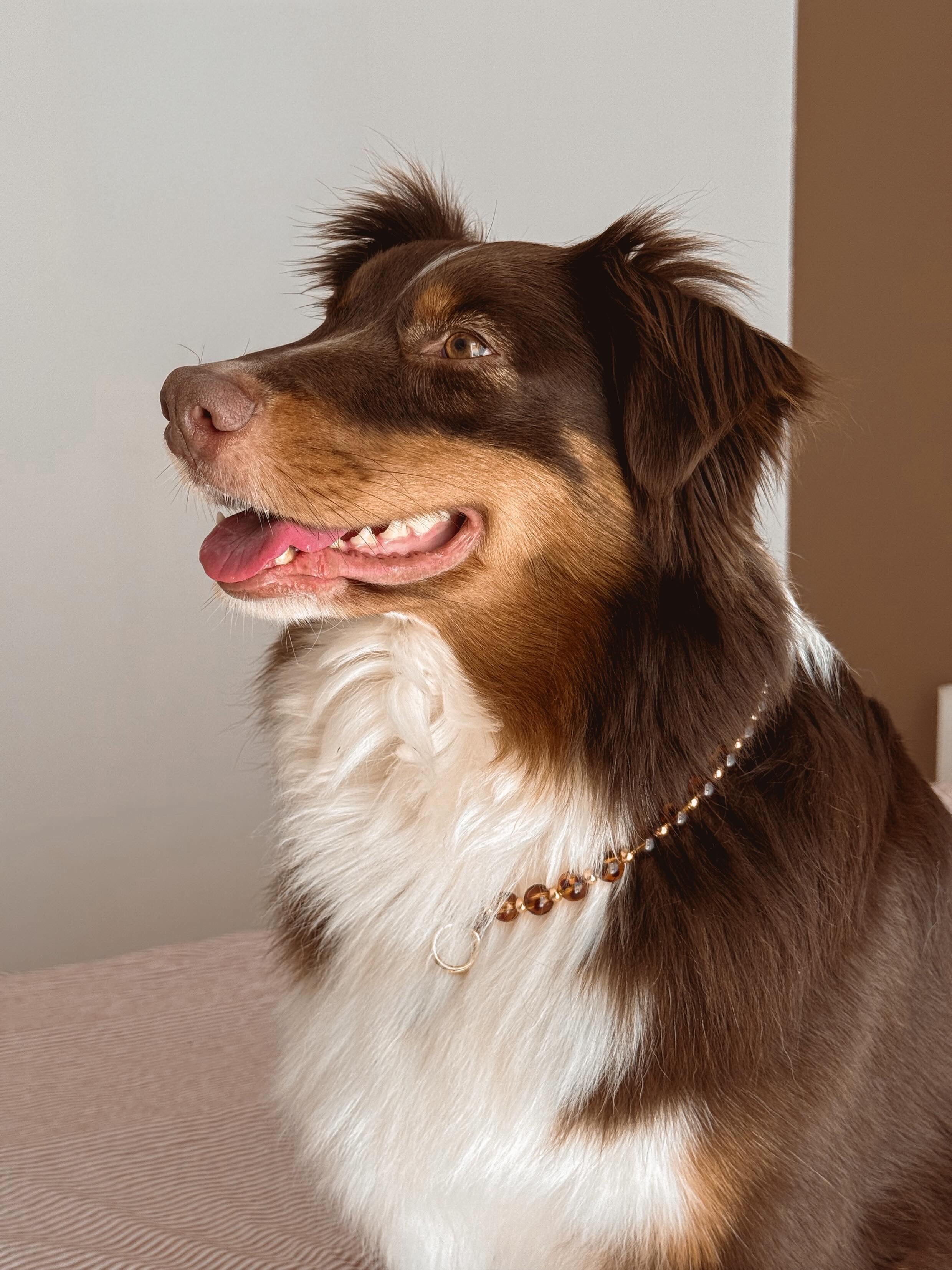 COLLIER PORTE MEDAILLE | ECAILLE DE TORTUE