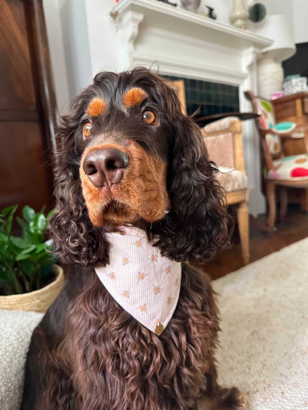 BANDANA A SCRATCH | HONEY