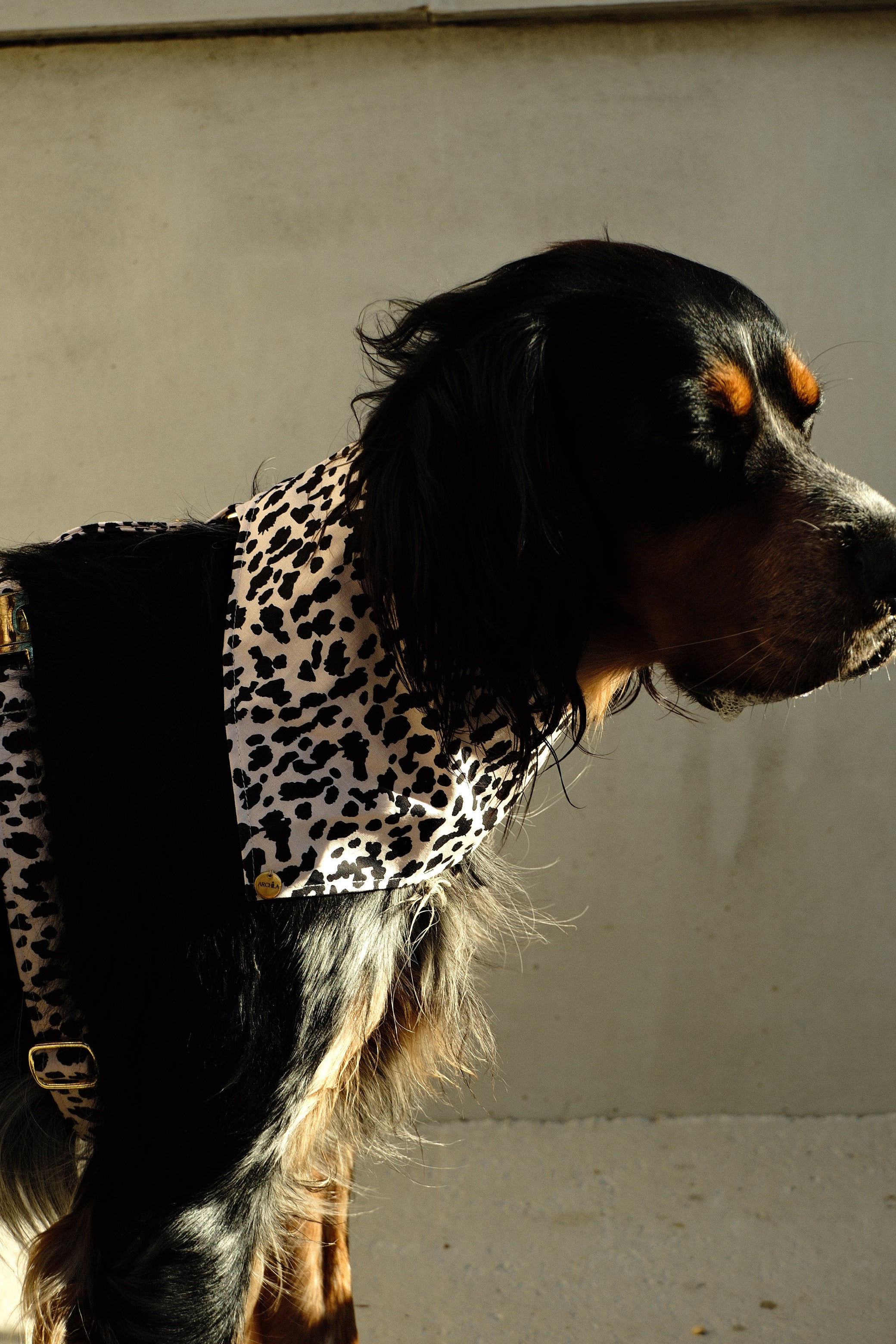 BANDANA A SCRATCH | IVORY