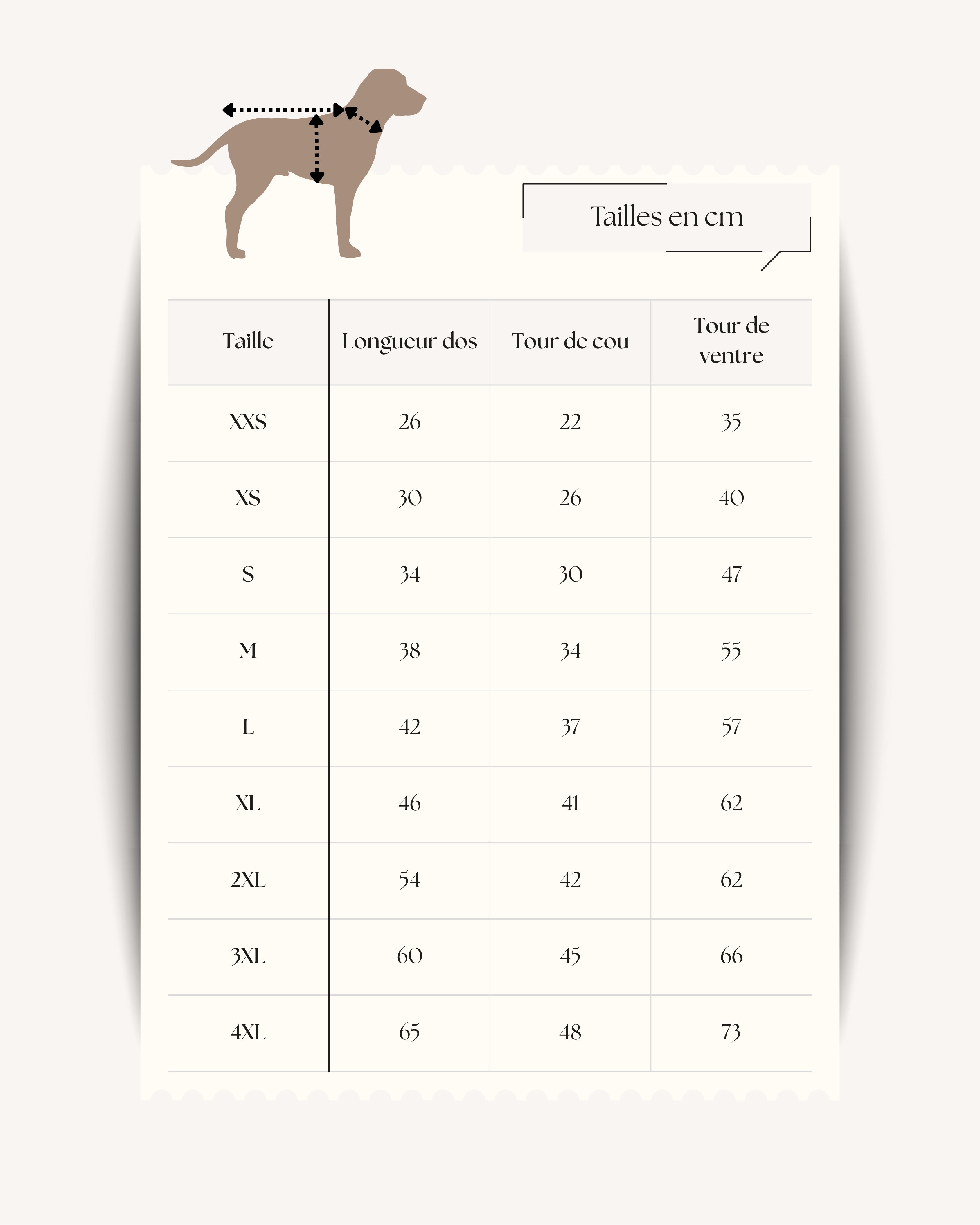 CRÉE TON SWEAT 🎊