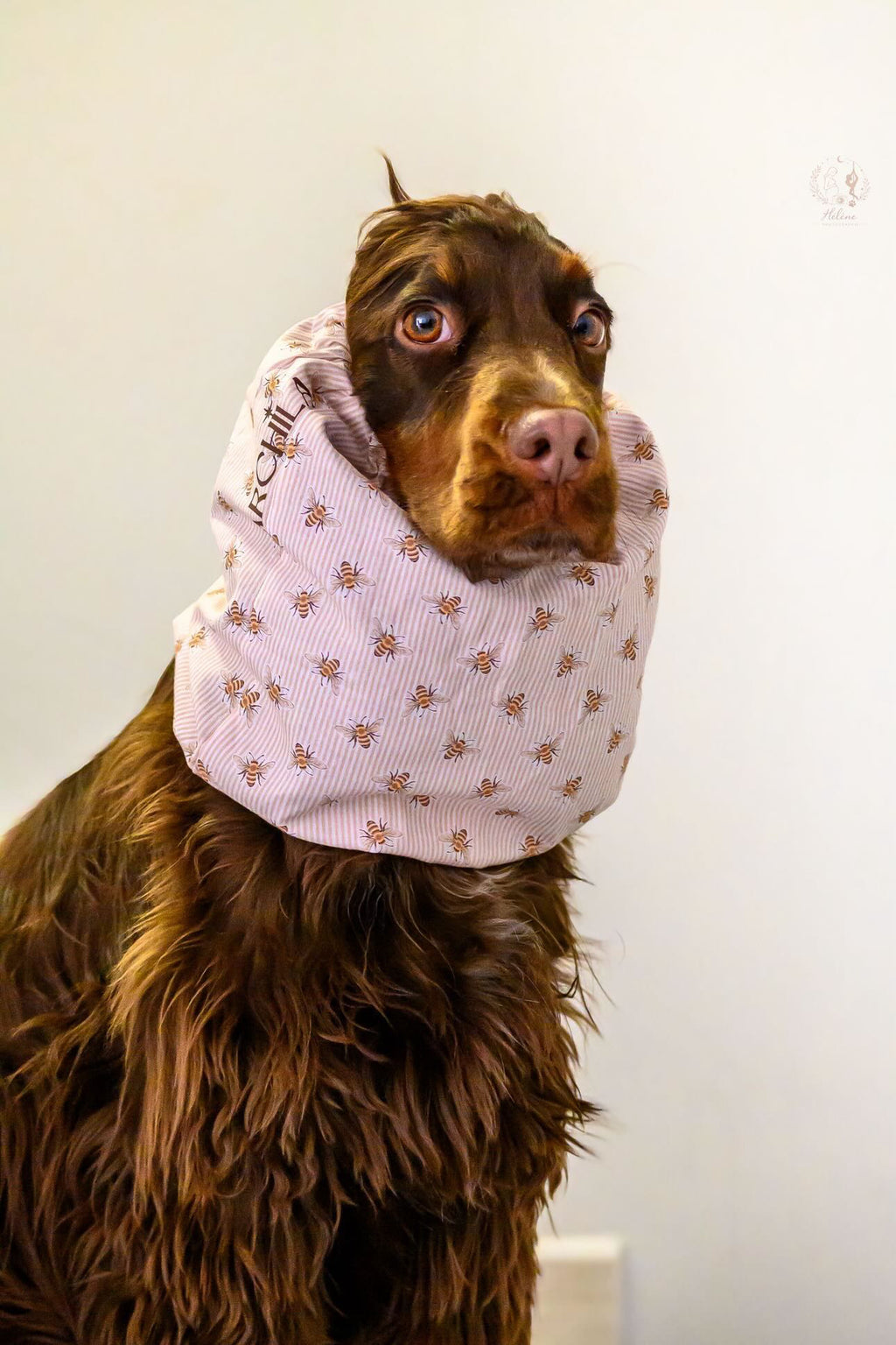 SNOOD | HONEY