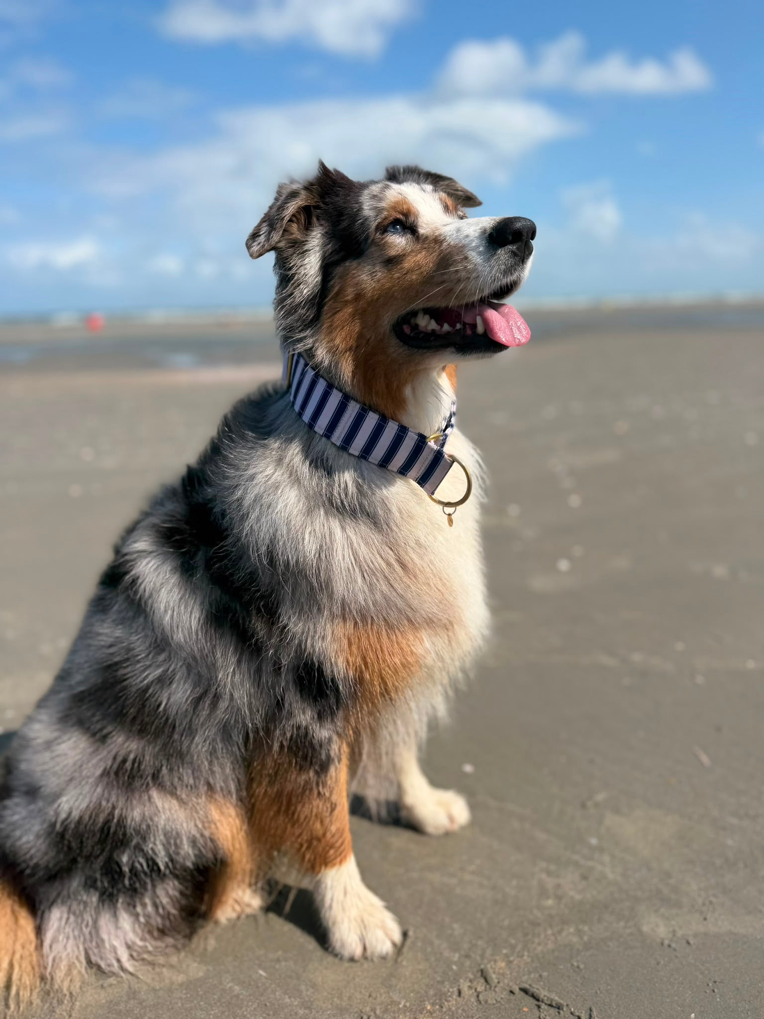 COLLIER MARTINGALE | MARINIÈRE