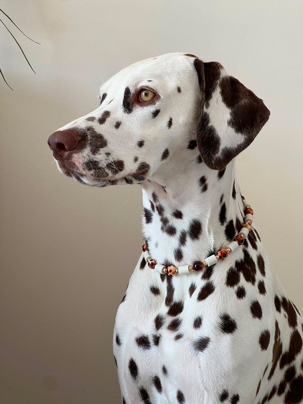 COLLIER ANTI PARASITAIRE | OEUF DE CAILLE