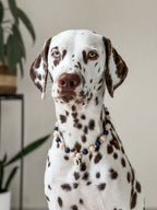 COLLIER PORTE MEDAILLE | MARINIÈRE