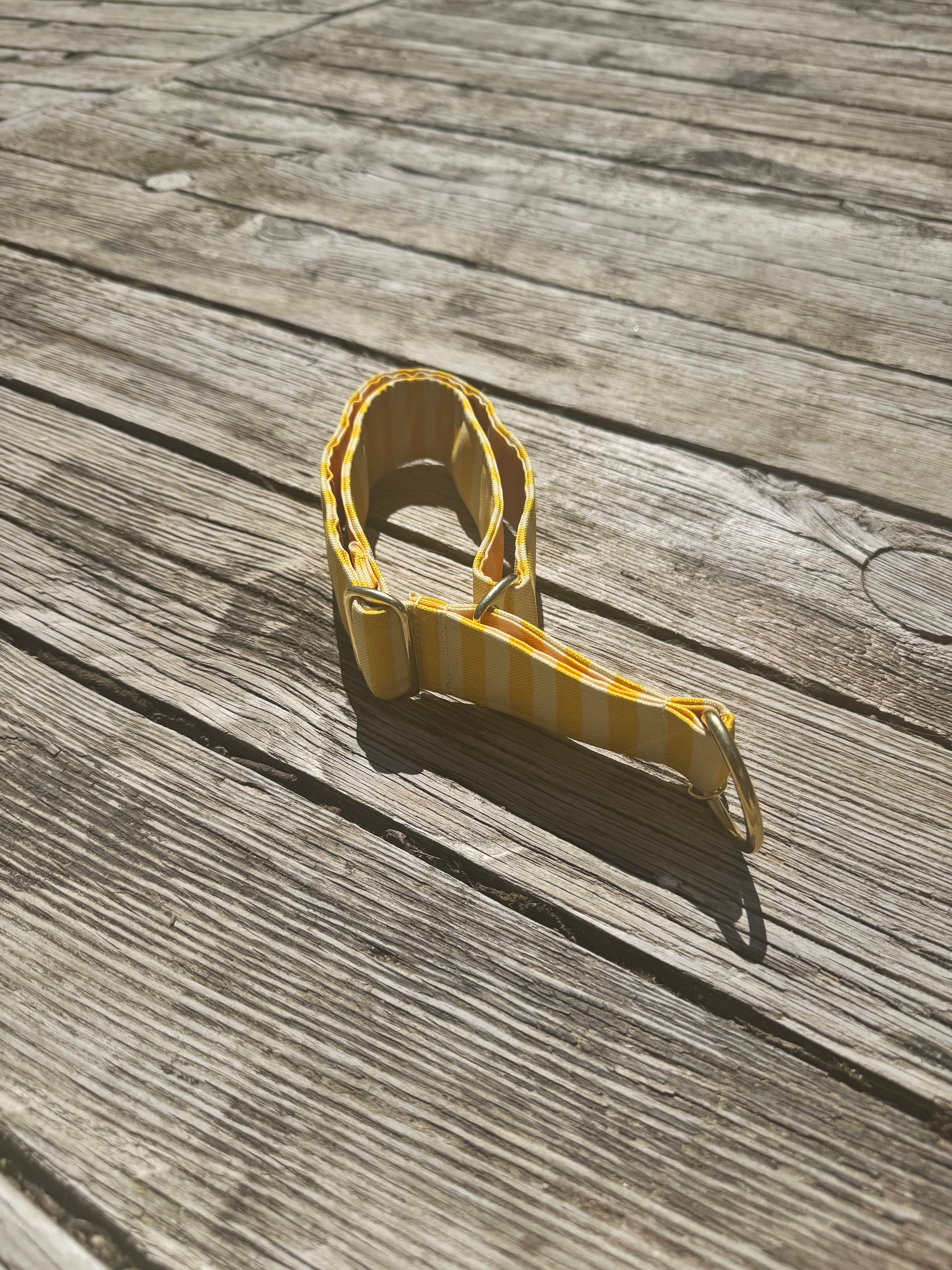 COLLIER MARTINGALE | SOLARIS