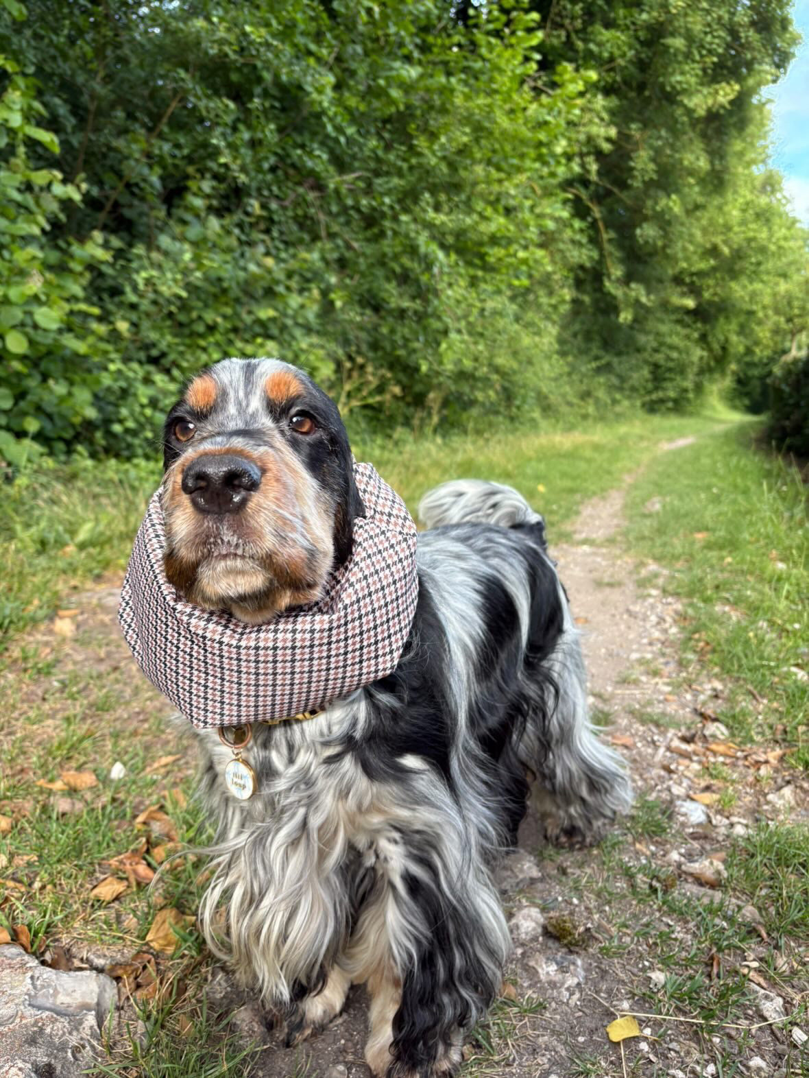 SNOOD | PIED DE POULE