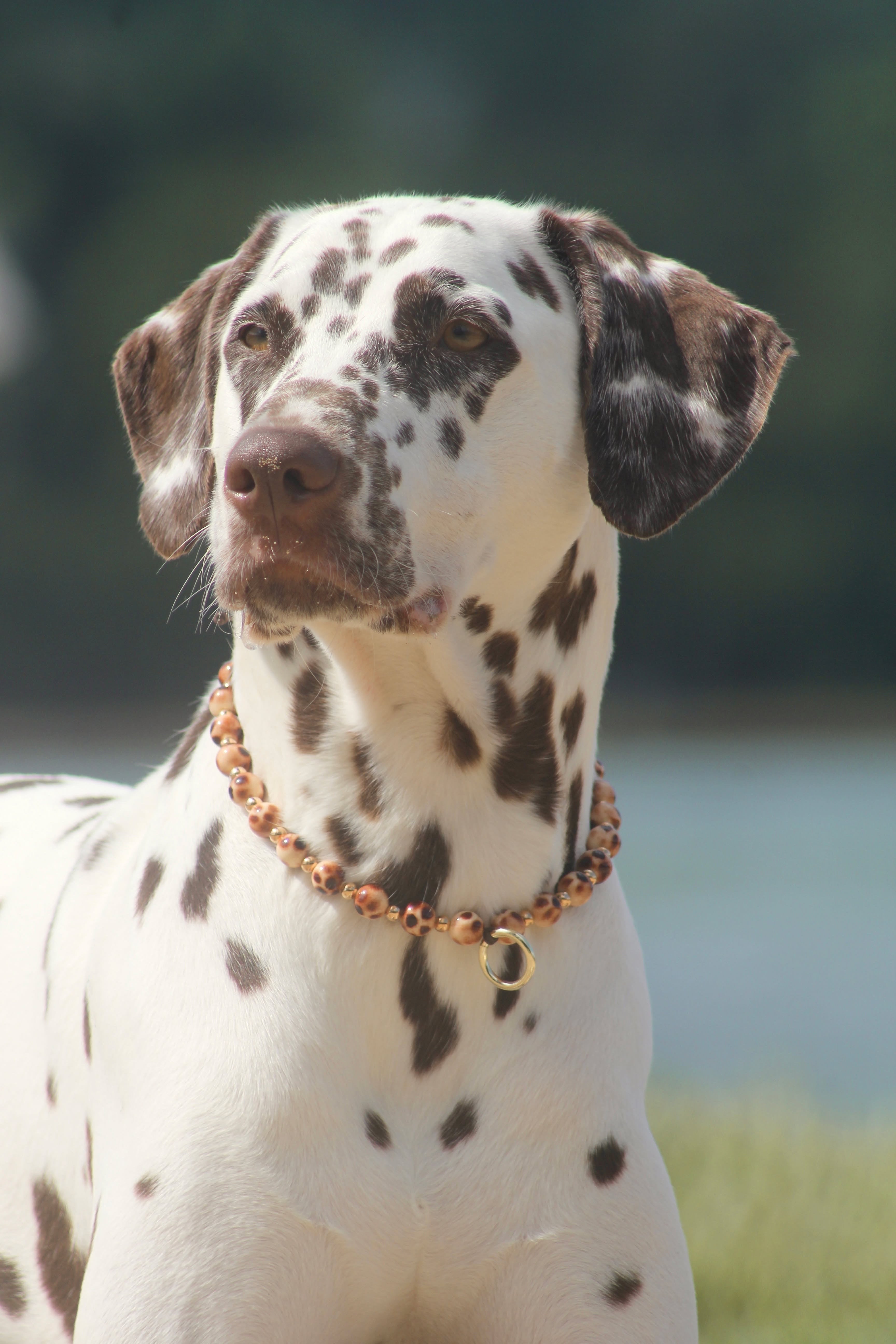 COLLIER PORTE MEDAILLE | OEUF DE CAILLE
