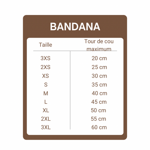 BANDANA A SCRATCH & CHARMS | HONEY