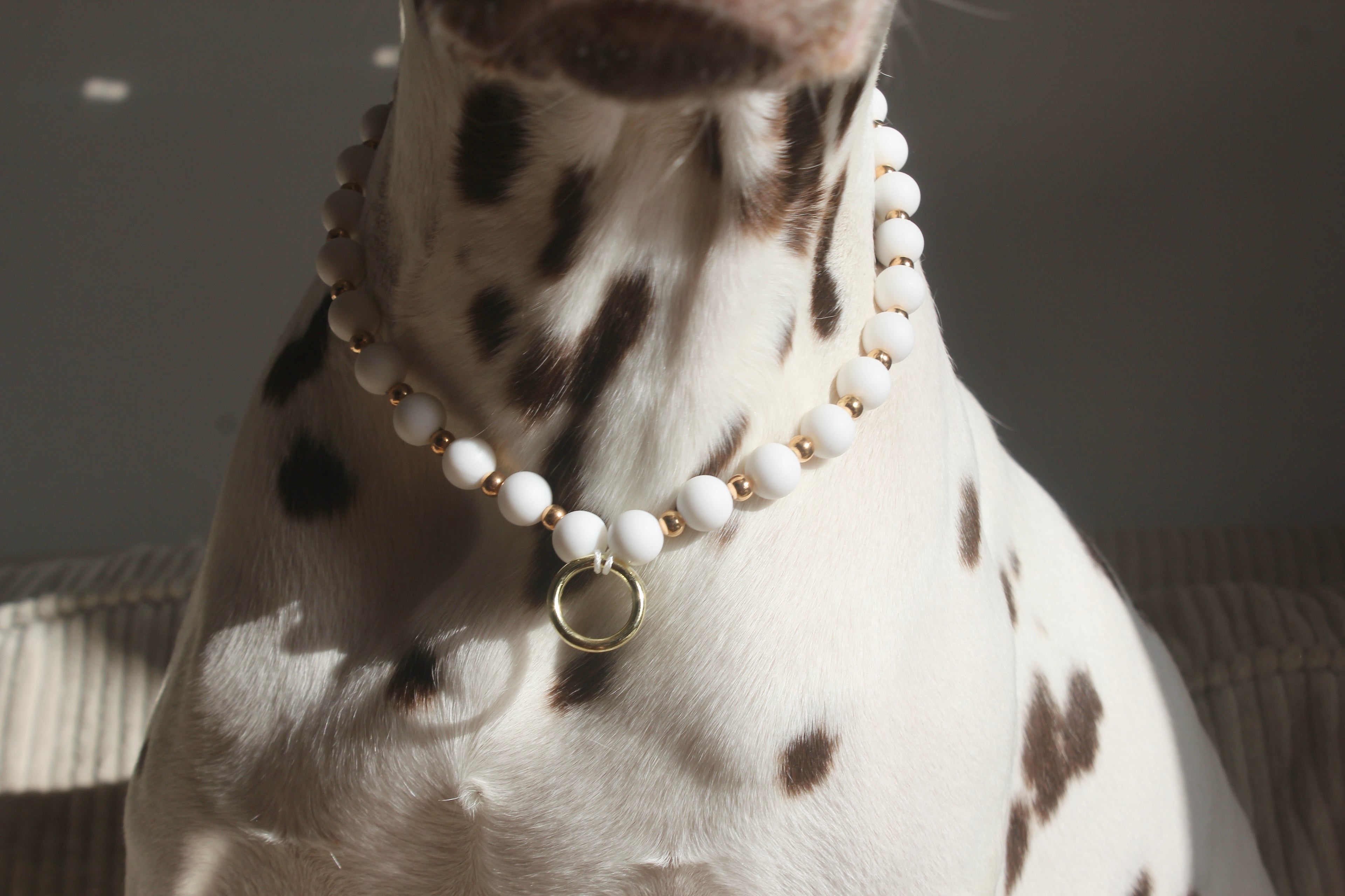 COLLIER PORTE MEDAILLE | WHITE