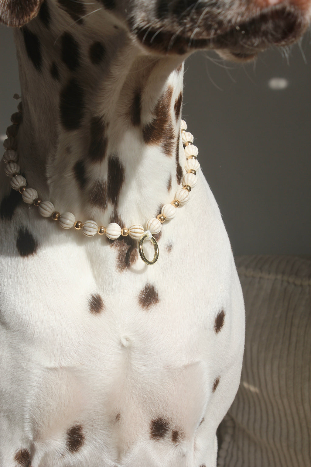 COLLIER PORTE MEDAILLE | PLAGE