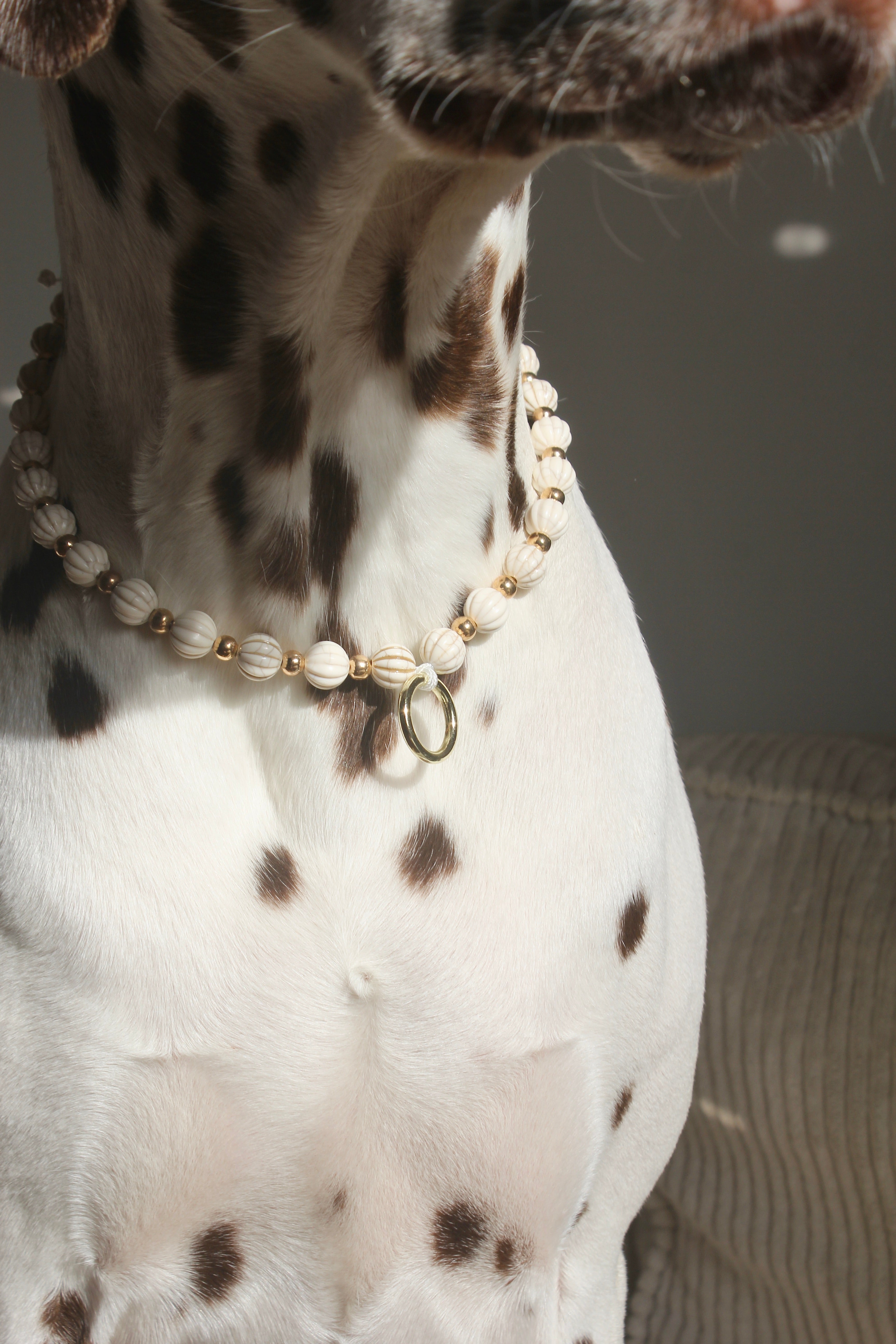 COLLIER PORTE MEDAILLE | PLAGE