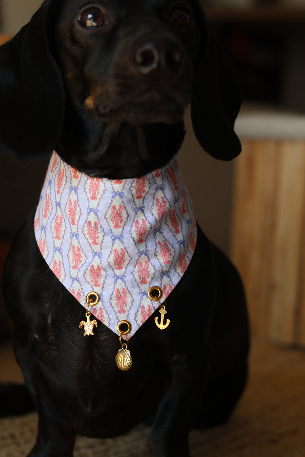 BANDANA A SCRATCH & CHARMS | SAINT MALO