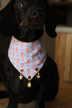BANDANA A SCRATCH & CHARMS | SAINT MALO