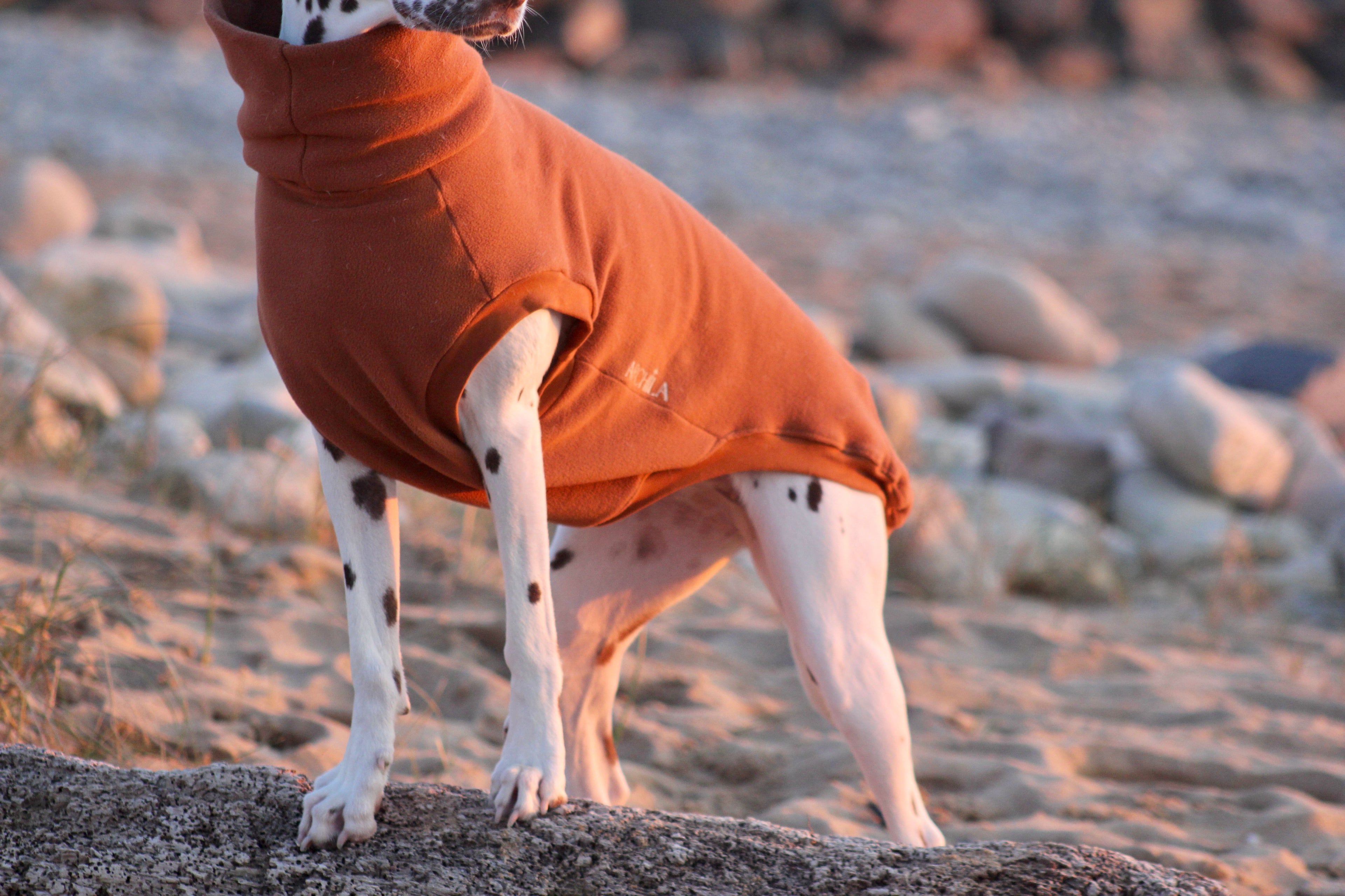 SWEAT | POLAIRE CAMEL