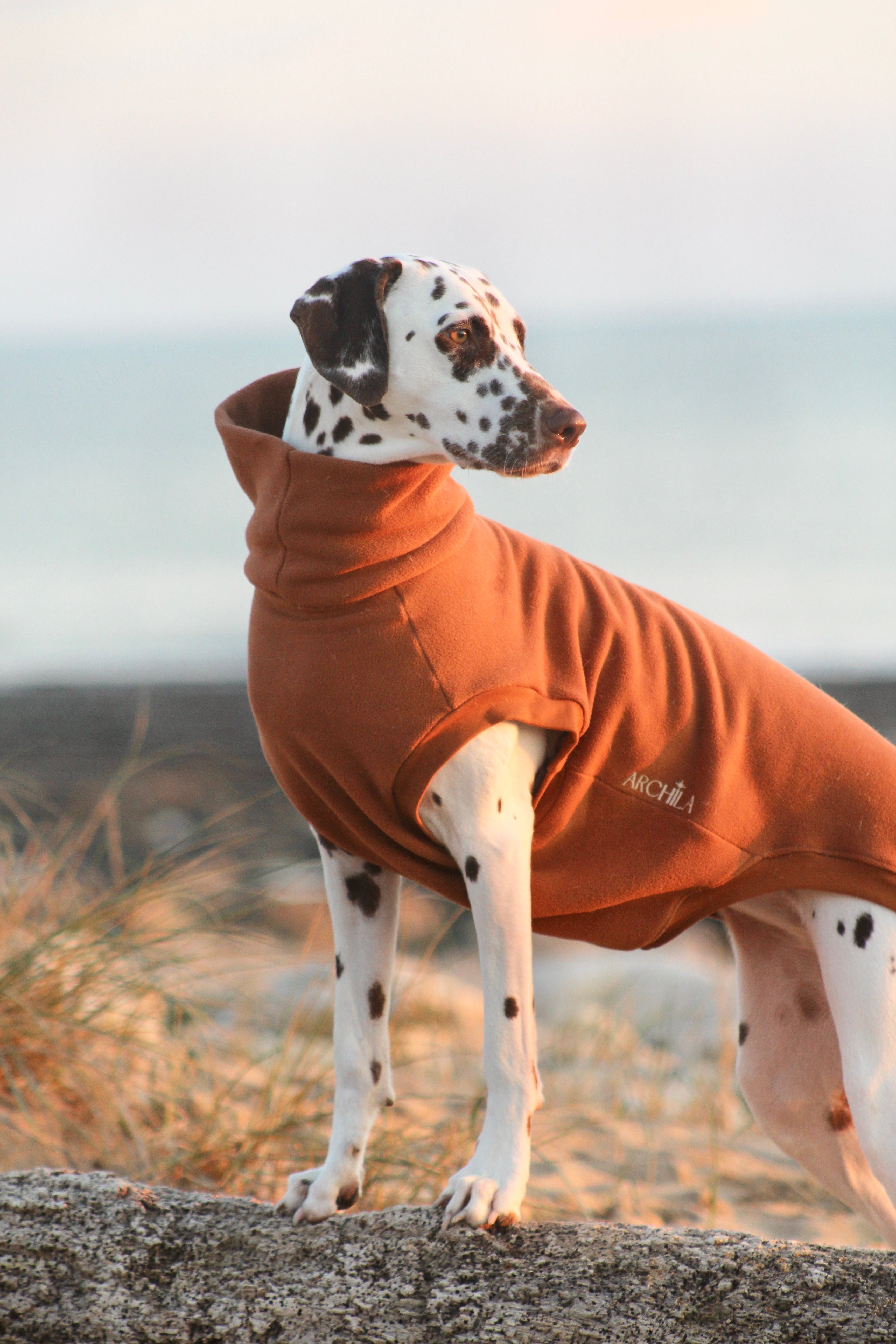 SWEAT | POLAIRE CAMEL