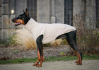 SWEAT | POLAIRE BEIGE