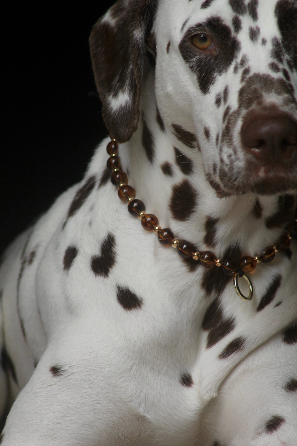 COLLIER PORTE MEDAILLE | ECAILLE DE TORTUE